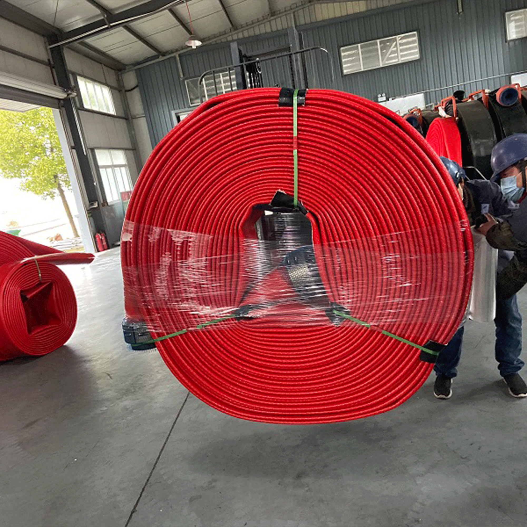 Oil Hose